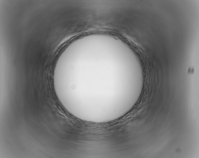 X0000091941206200709051255