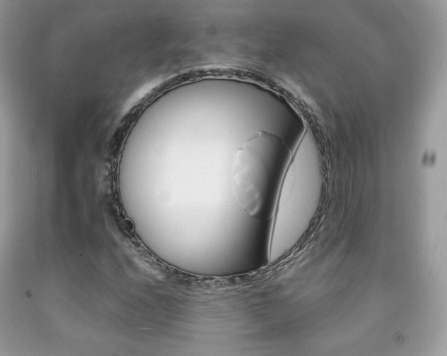 X0000091941208200709051255