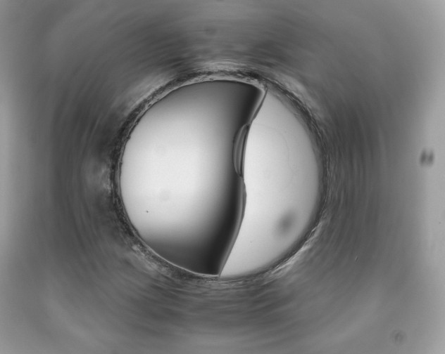 X0000091941209200709051255