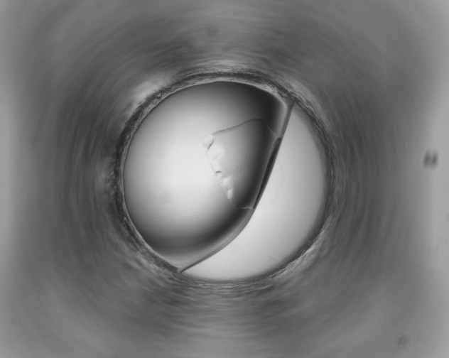 X0000091941210200709051255