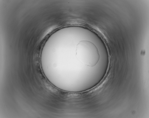 X0000091941211200709051255