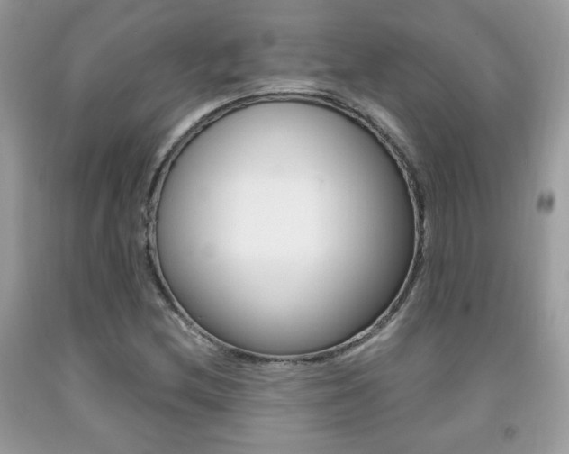 X0000091941212200709051255