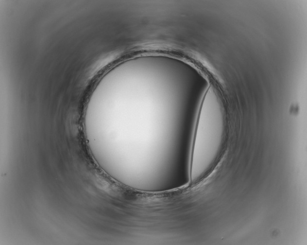 X0000091941213200709051255