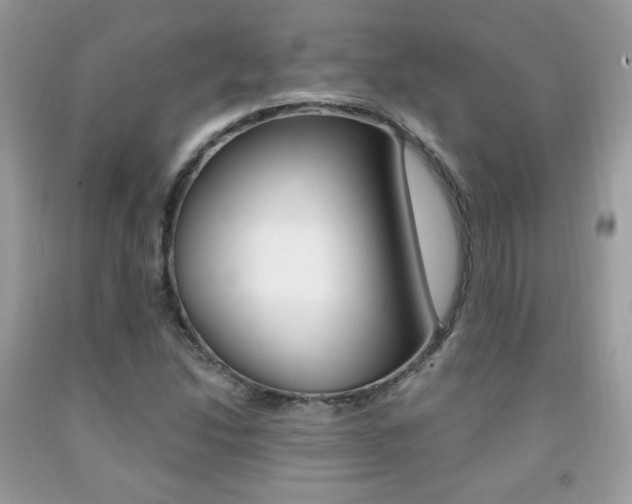 X0000091941214200709051255