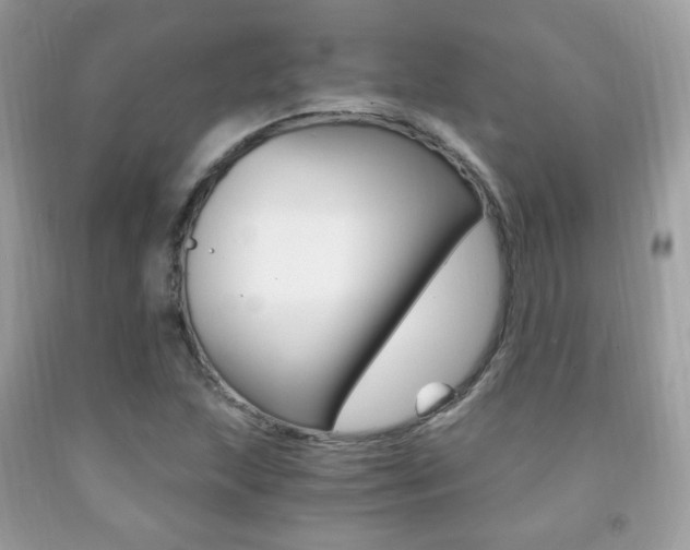 X0000091941215200709051255