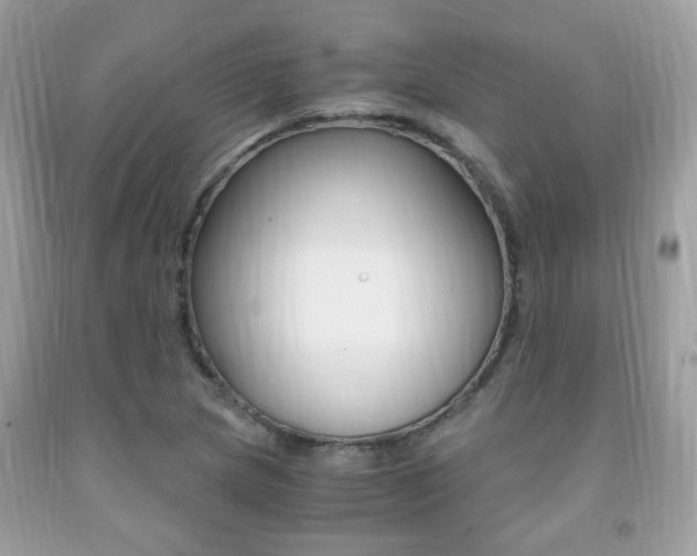 X0000091941217200709051255