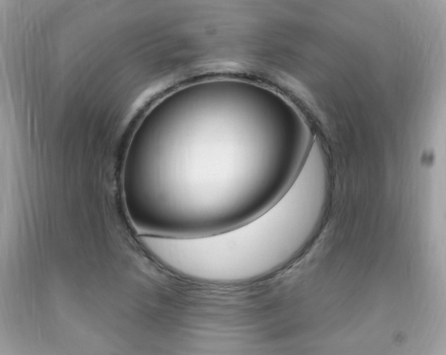X0000091941218200709051255
