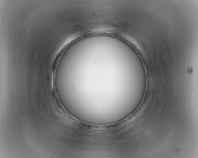 X0000091941219200709051255
