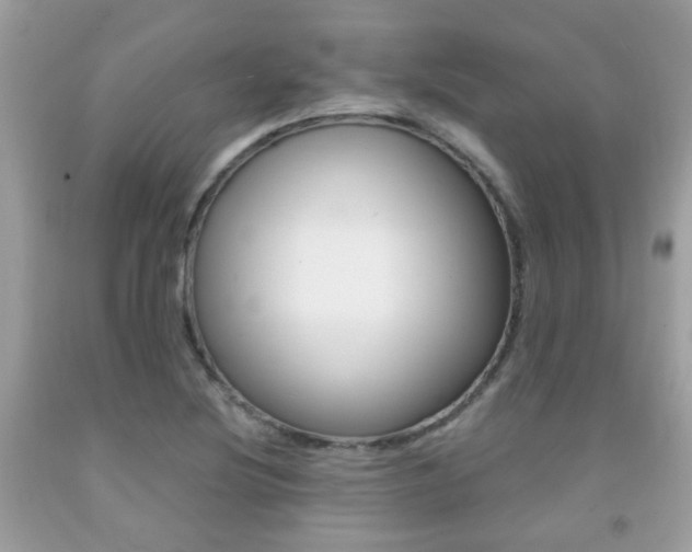 X0000091941220200709051255