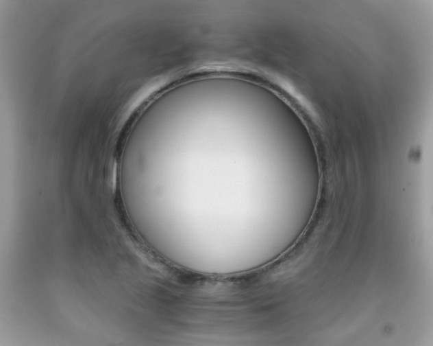 X0000091941221200709051255