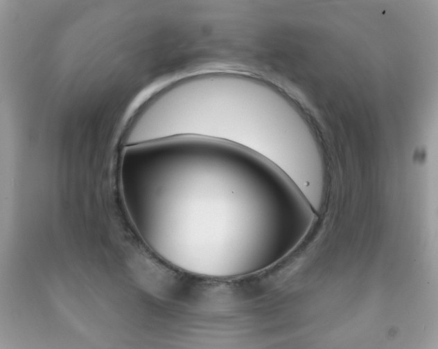 X0000091941222200709051255
