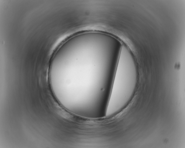 X0000091941224200709051255