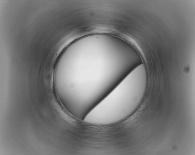 X0000091941227200709051255