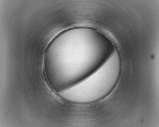 X0000091941228200709051255