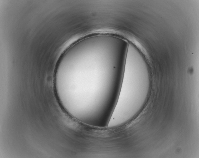 X0000091941229200709051255