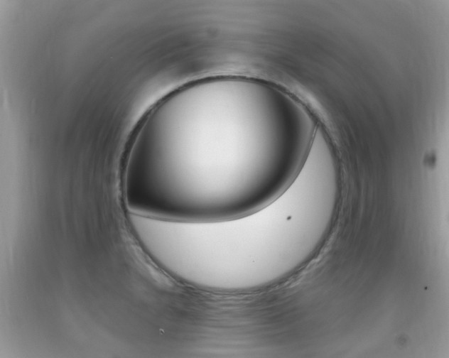 X0000091941230200709051255