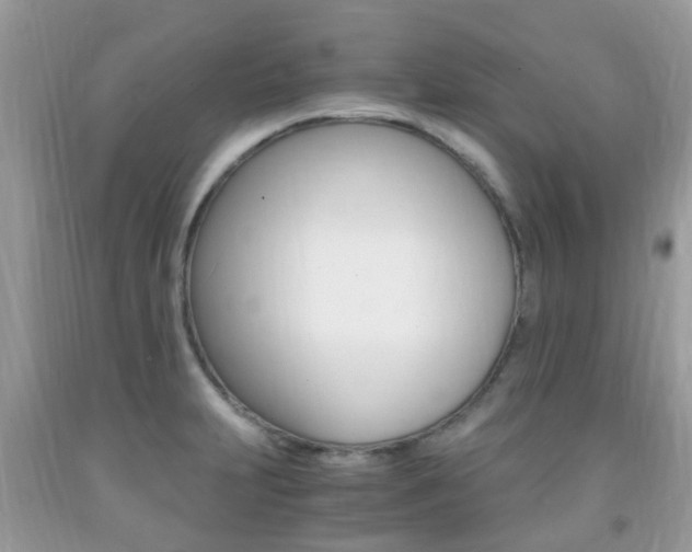 X0000091941231200709051255