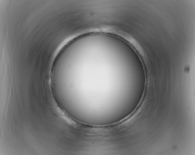 X0000091941232200709051255