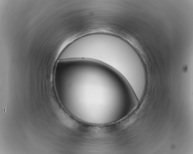 X0000091941234200709051255