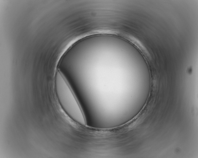 X0000091941236200709051255