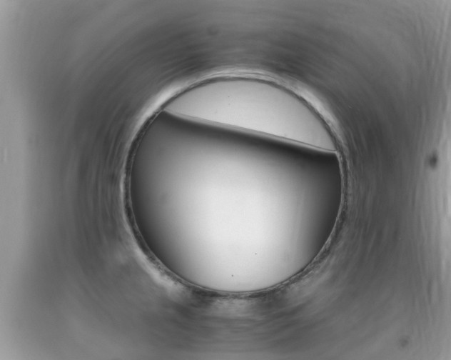X0000091941237200709051255