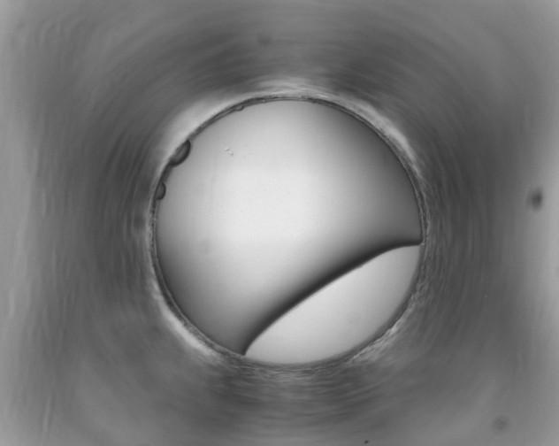 X0000091941239200709051255