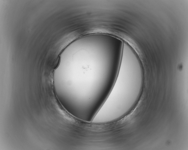 X0000091941241200709051255