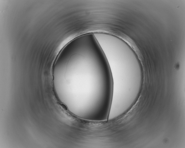 X0000091941242200709051255