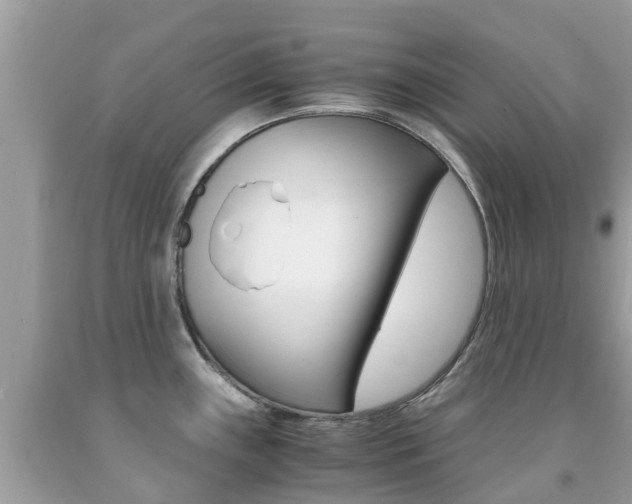 X0000091941243200709051255