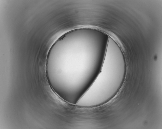 X0000091941244200709051255