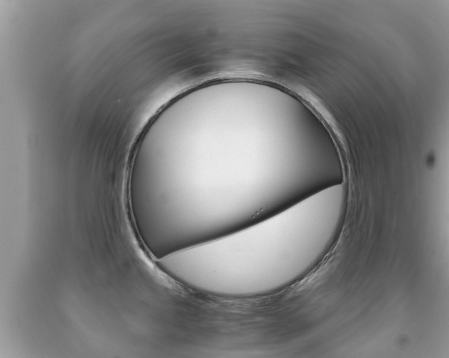 X0000091941245200709051255