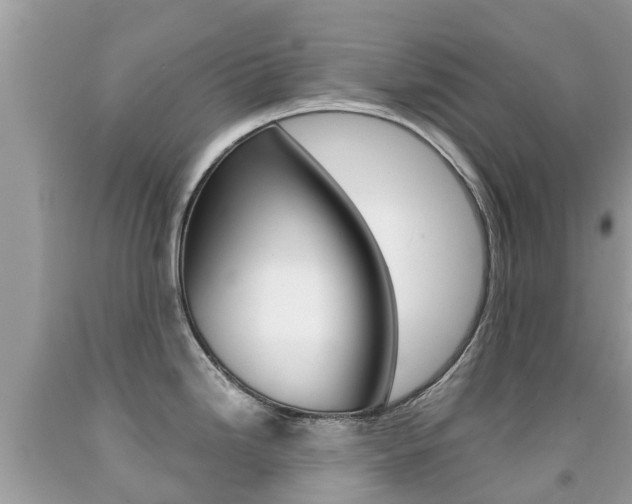 X0000091941246200709051255