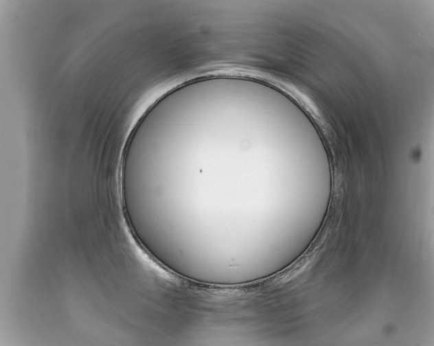 X0000091941247200709051255