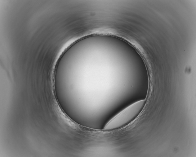 X0000091941248200709051255