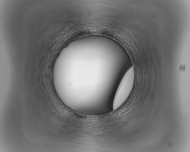X0000091941249200709051255
