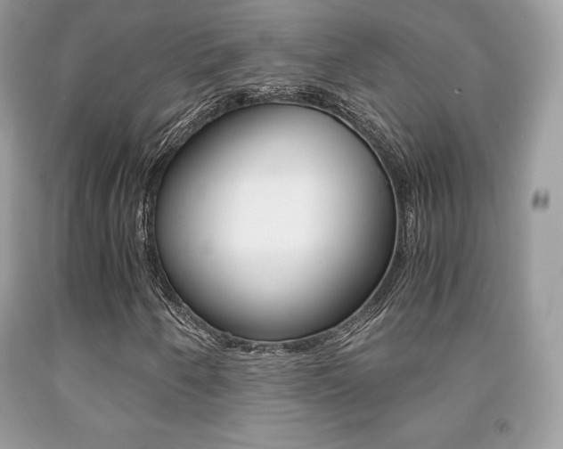 X0000091941250200709051255