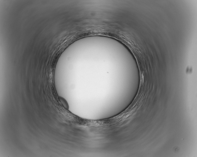 X0000091941251200709051255
