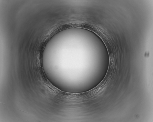 X0000091941252200709051255