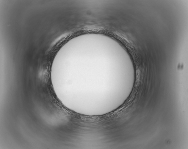 X0000091941254200709051255