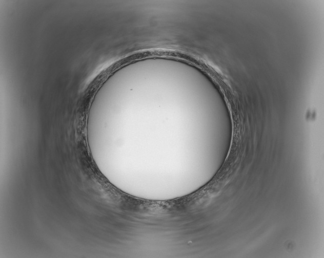 X0000091941255200709051255