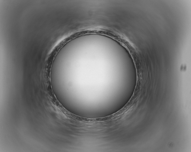 X0000091941256200709051255