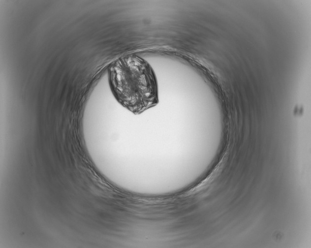X0000091941257200709051255