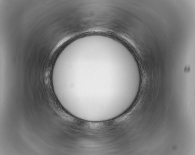 X0000091941258200709051255