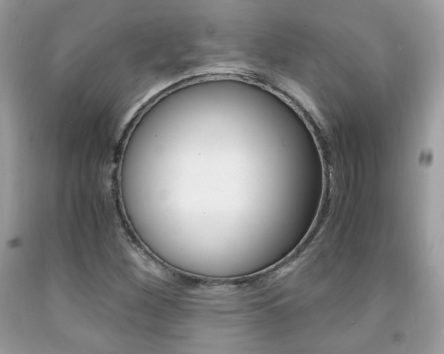 X0000091941260200709051255