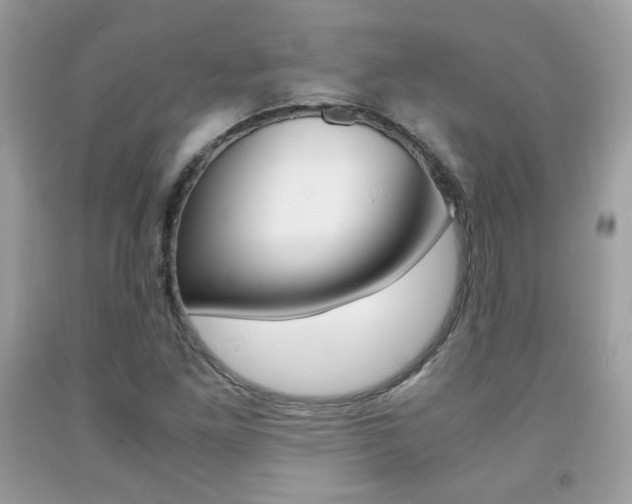 X0000091941261200709051255