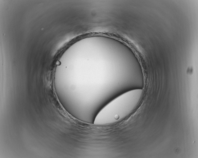 X0000091941262200709051255
