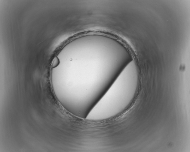 X0000091941263200709051254