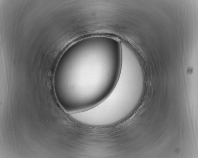 X0000091941265200709051254