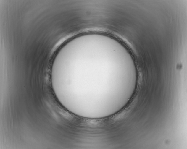 X0000091941266200709051254