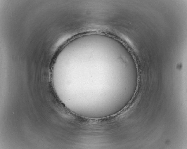 X0000091941267200709051254